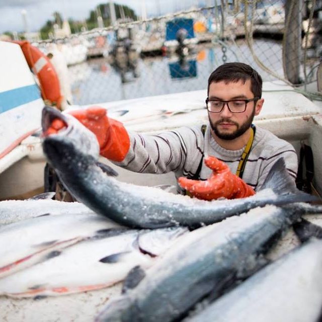 Sitka Salmon Shares